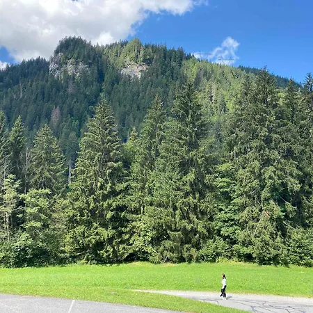 Calme A 900m Du Centre De Avec Terrasse Et Parking - Fr-1-693-112 Apartment Chatel